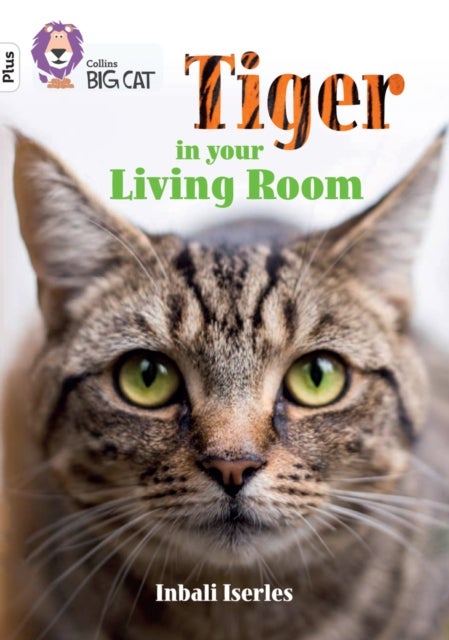 BIG CAT_TIGER IN ROOM - Band 10+/White Plus