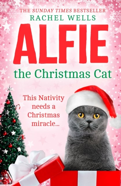 ALFIE CHRISTMAS_ALFIE SERI7 PB