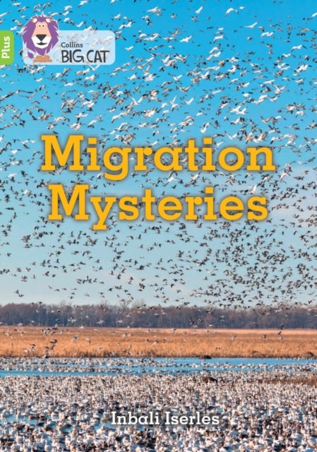BIG CAT_MIGRATION MYSTERIES - Band 11+/Lime Plus