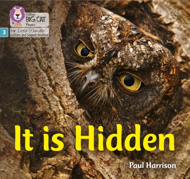 BIG CAT LW L&S _IT IS HIDDEN - Phase 3 Set 2