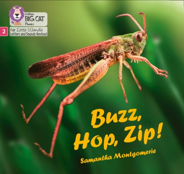 Buzz, Hop, Zip! - Phase 2 Set 5