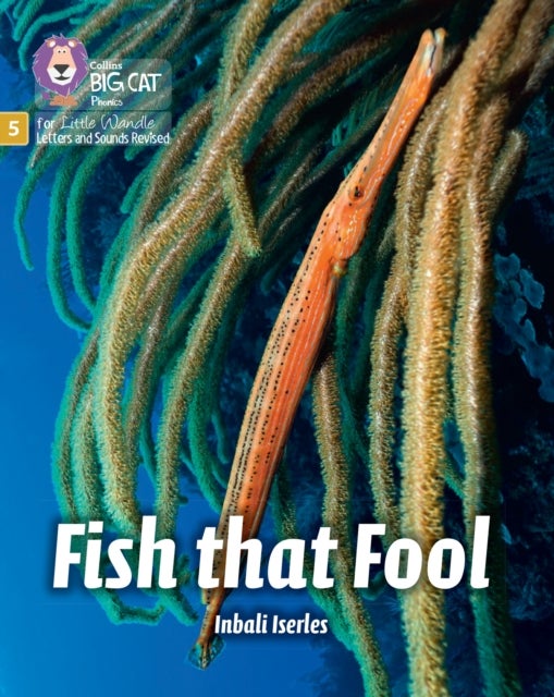 BIG CAT LW L&S_FISH FOOL - Phase 5 Set 1