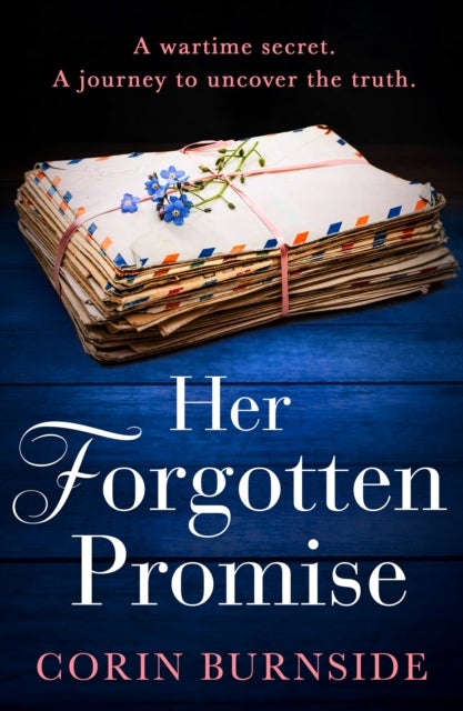 HER FORGOTTEN PROMISE PB