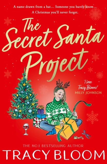 SECRET SANTA PROJECT PB