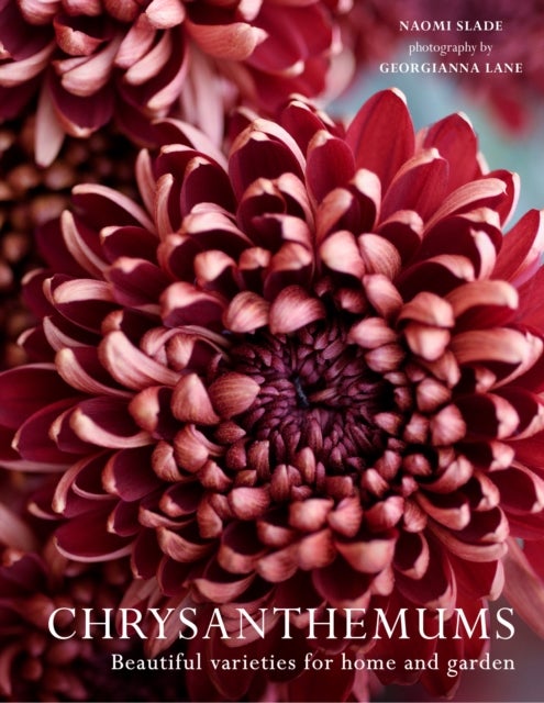 CHRYSANTHEMUMS HB - Beautiful Varieties for Home and Garden