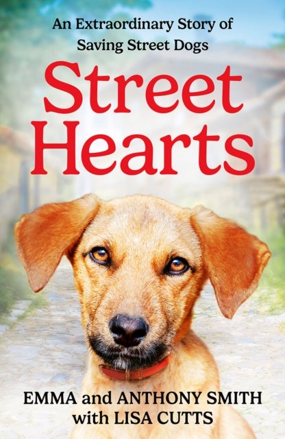 STREET HEARTS PB - An Extraordinary Story of Saving Street Dogs