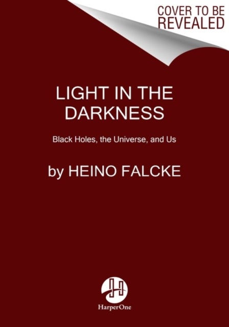 Light in the Darkness - Black Holes, the Universe, and Us