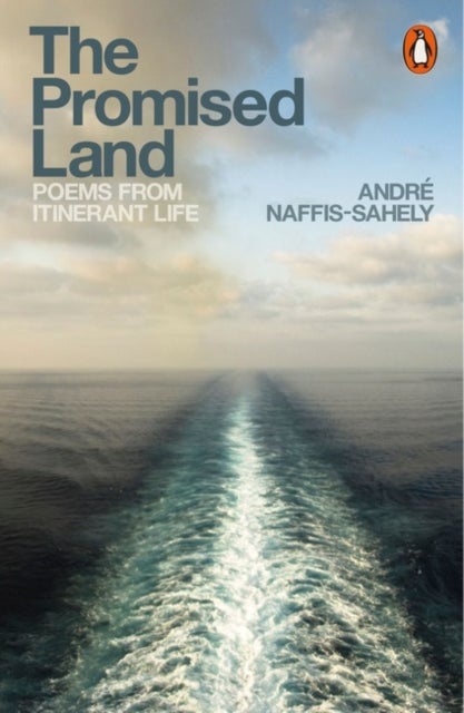 The Promised Land - Poems from Itinerant Life