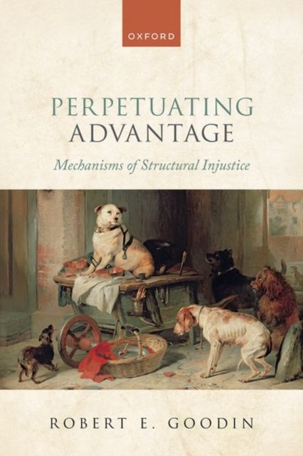 Perpetuating Advantage - Mechanisms of Structural Injustice
