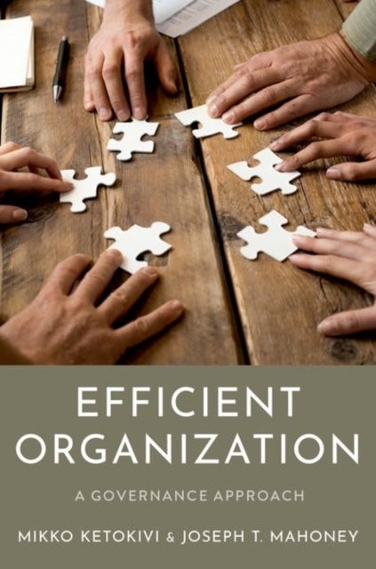 Efficient Organization - A Governance Approach