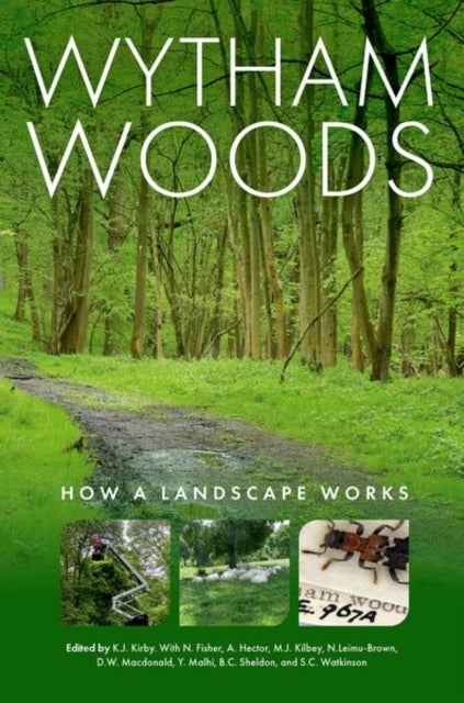 Wytham Woods - How a Landscape Works