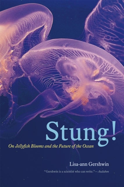 Stung! – On Jellyfish Blooms and the Future of the Ocean - On Jellyfish Blooms and the Future of the Ocean