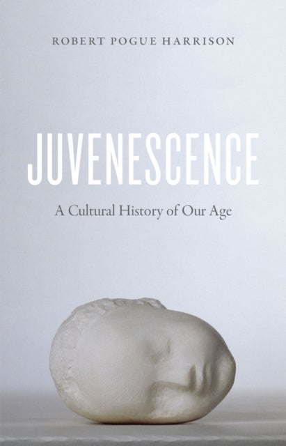 Juvenescence – A Cultural History of Our Age - A Cultural History of Our Age
