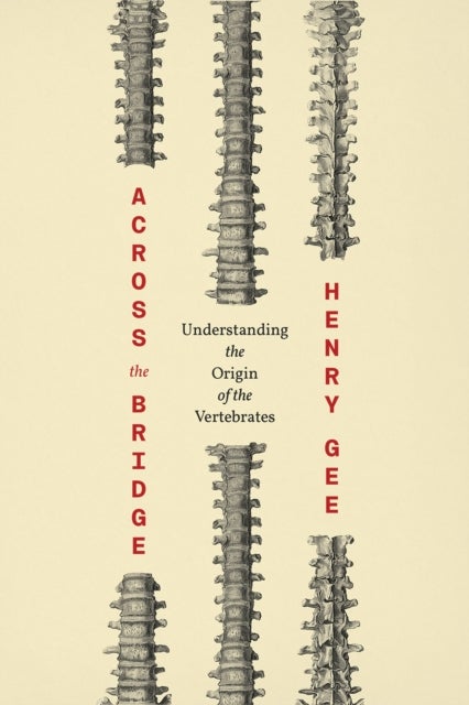 Across the Bridge – Understanding the Origin of the Vertebrates - Understanding the Origin of the Vertebrates