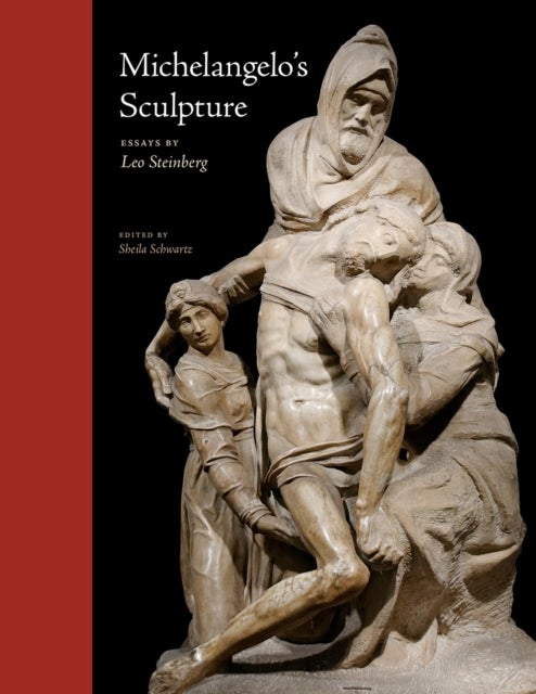 Michelangelo′s Sculpture – Selected Essays