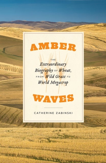 Amber Waves – The Extraordinary Biography of Wheat, from Wild Grass to World Megacrop - The Extraordinary Biography of Wheat, from Wild Grass to World Megacrop