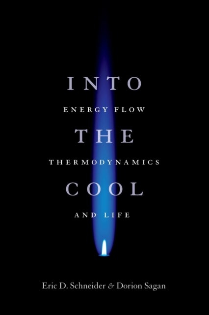 Into the Cool - Energy Flow, Thermodynamics, and Life