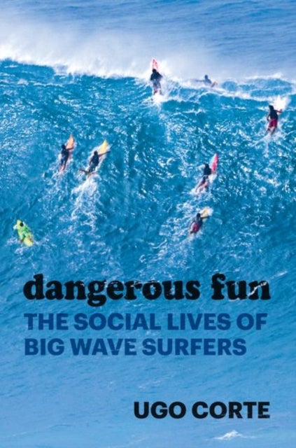 Dangerous Fun – The Social Lives of Big Wave Surfers - The Social Lives of Big Wave Surfers