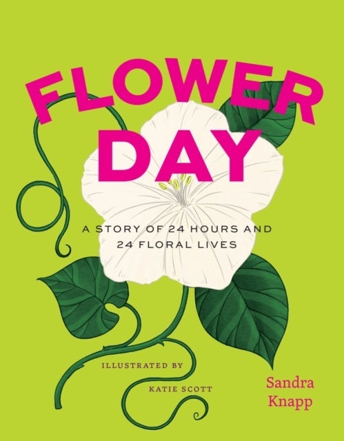 Flower Day – A Story of 24 Hours and 24 Floral Lives