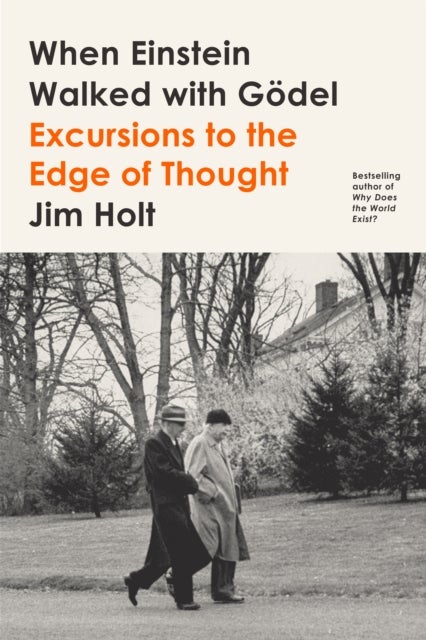 When Einstein Walked with Godel - Excursions to the Edge of Thought