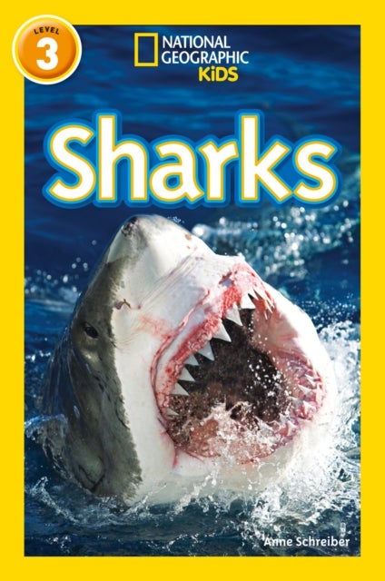 Sharks - Level 3