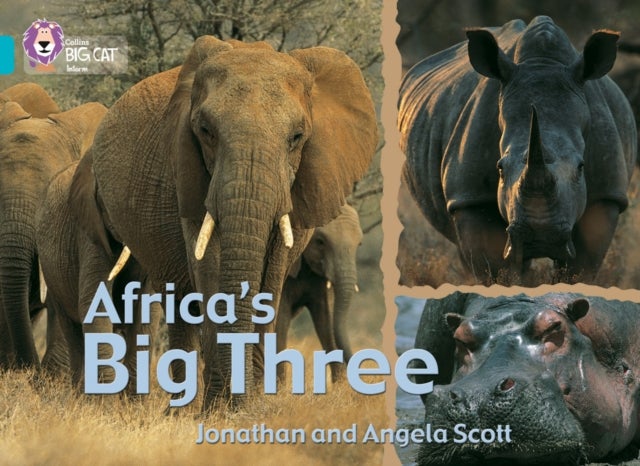 Africa¿s Big Three - Band 07/Turquoise