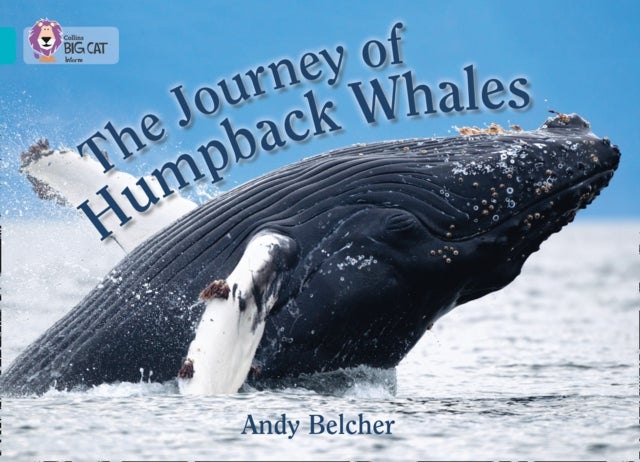 BIG CAT - JOURNEY OF HUMPBACK - Band 07/Turquoise