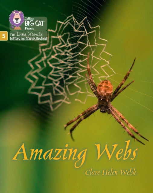 Amazing Webs - Phase 5 Set 2