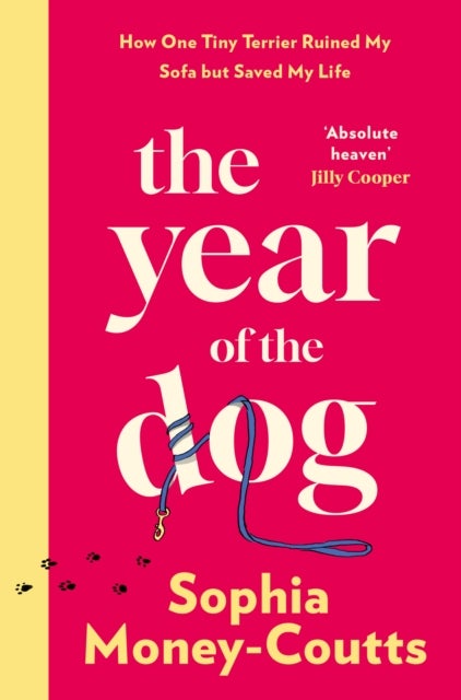 The Year of the Dog - How One Tiny Terrier Ruined My Sofa but Saved My Life