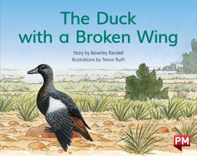 PM BLUE THE DUCK WITH A BROKEN WING PM S