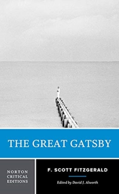 The Great Gatsby - A Norton Critical Edition