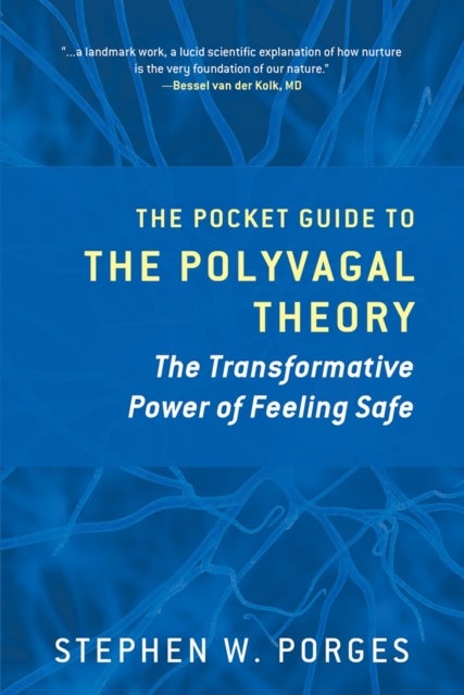 The Pocket Guide to the Polyvagal Theory – The Transformative Power of Feeling Safe - The Transformative Power of Feeling Safe
