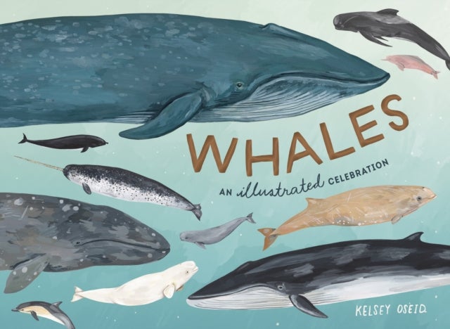 Whales - An Illustrated Celebration