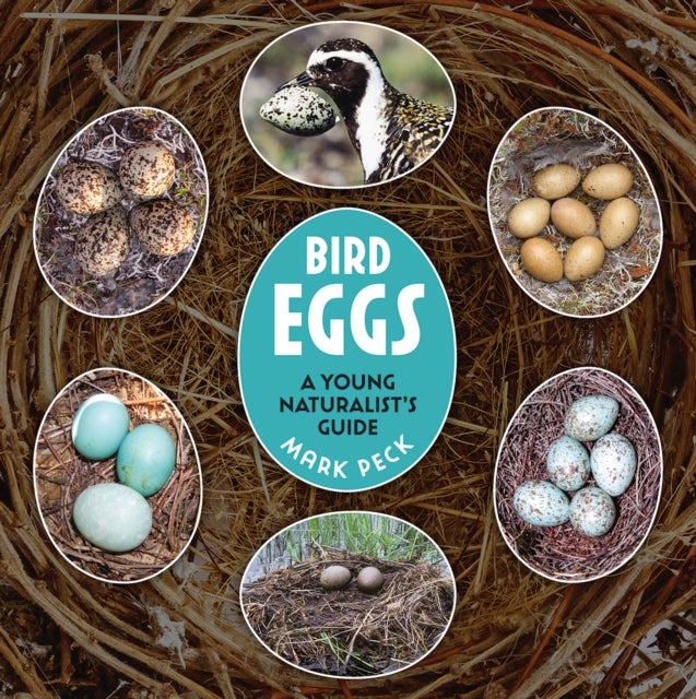 Bird Eggs - A Young Naturalist's Guide