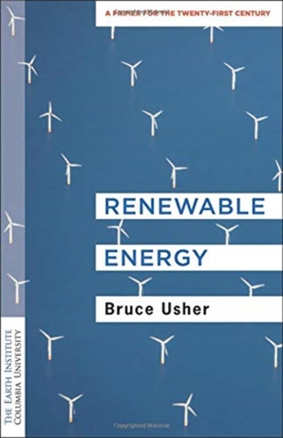 Renewable Energy – A Primer for the Twenty–First Century