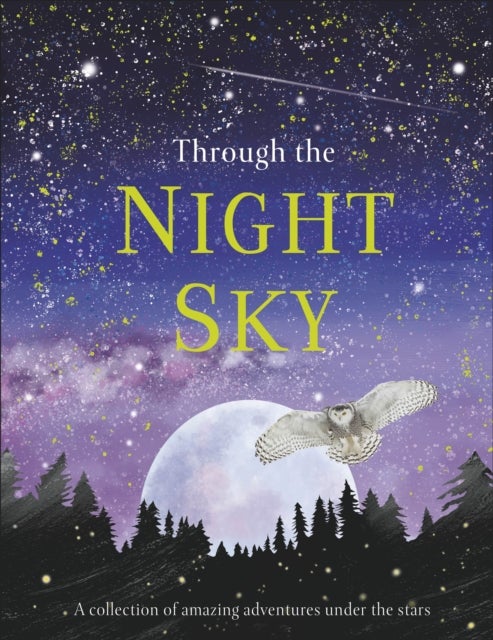 Through the Night Sky - A collection of amazing adventures under the stars