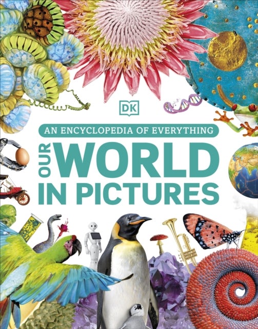 Our World in Pictures - A Visual Encyclopedia of Everything for Kids