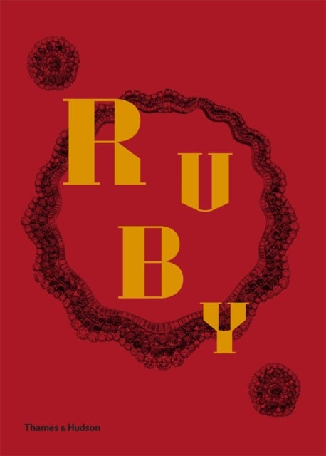 Ruby - The King of Gems