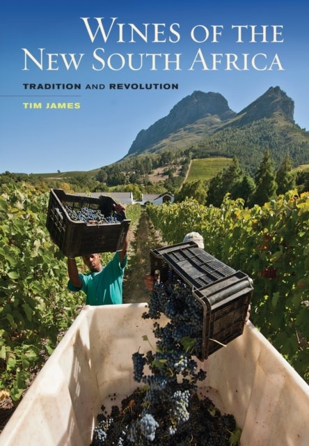 Wines of the New South Africa – Tradition and Revolution - Tradition and Revolution