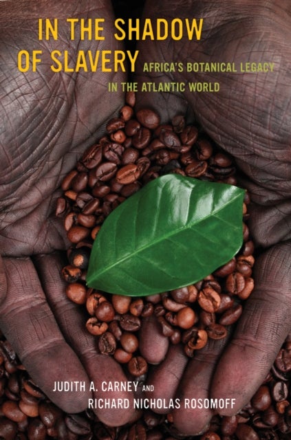 In the Shadow of Slavery – Africa's Botanical Legacy in the Atlantic World - Africa’s Botanical Legacy in the Atlantic World