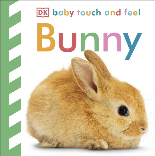 Baby Touch and Feel Bunny - An Interactive Spring Board Book