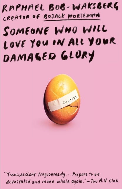 Someone Who Will Love You in All Your Damaged Glory - Stories