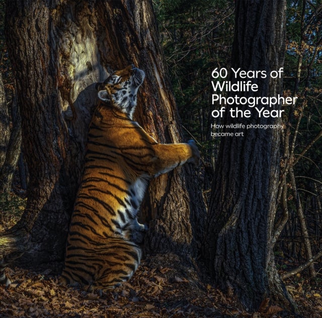 60 Years of Wildlife Photographer of the Year - How Wildlife Photography Became Art