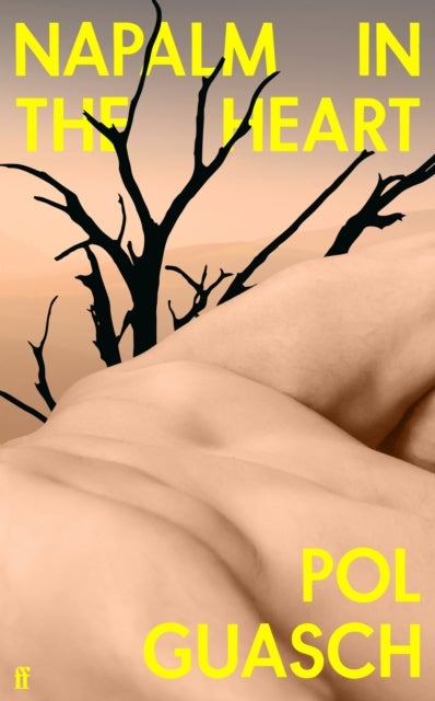 Napalm in the Heart - 'A punk explosion of a novel' FINANCIAL TIMES