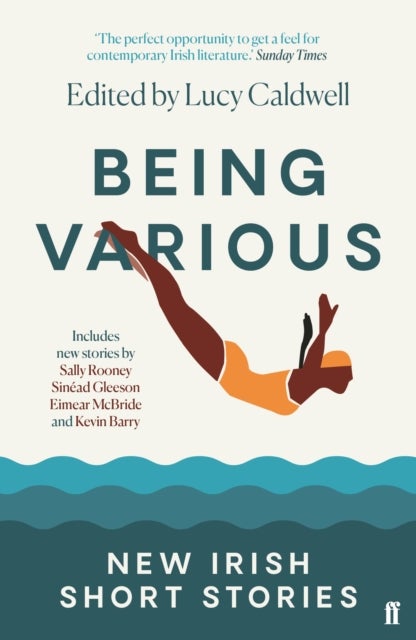 Being Various - New Irish Short Stories