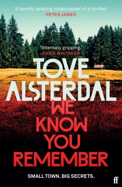 We Know You Remember - The No. 1 International Bestseller