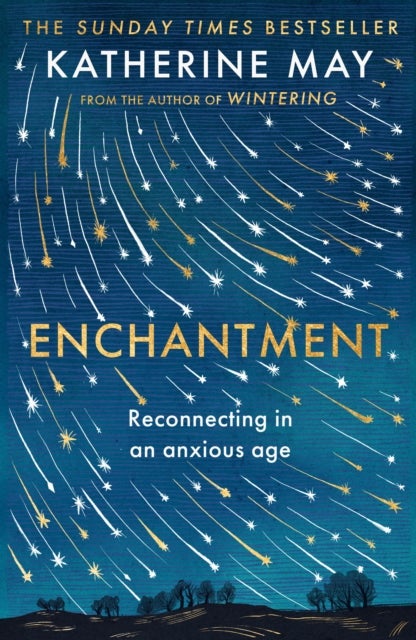 Enchantment - Reconnecting in an Anxious Age