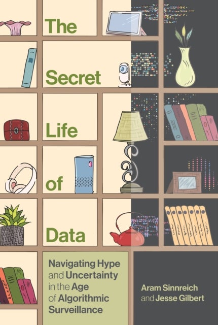 The Secret Life of Data - Navigating Hype and Uncertainty in the Age of Algorithmic Surveillance