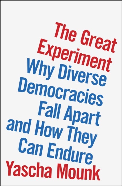 The Great Experiment - Why Diverse Democracies Fall Apart and How They Can Endure