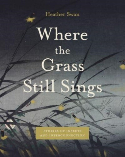 Where the Grass Still Sings – Stories of Insects and Interconnection - Stories of Insects and Interconnection
